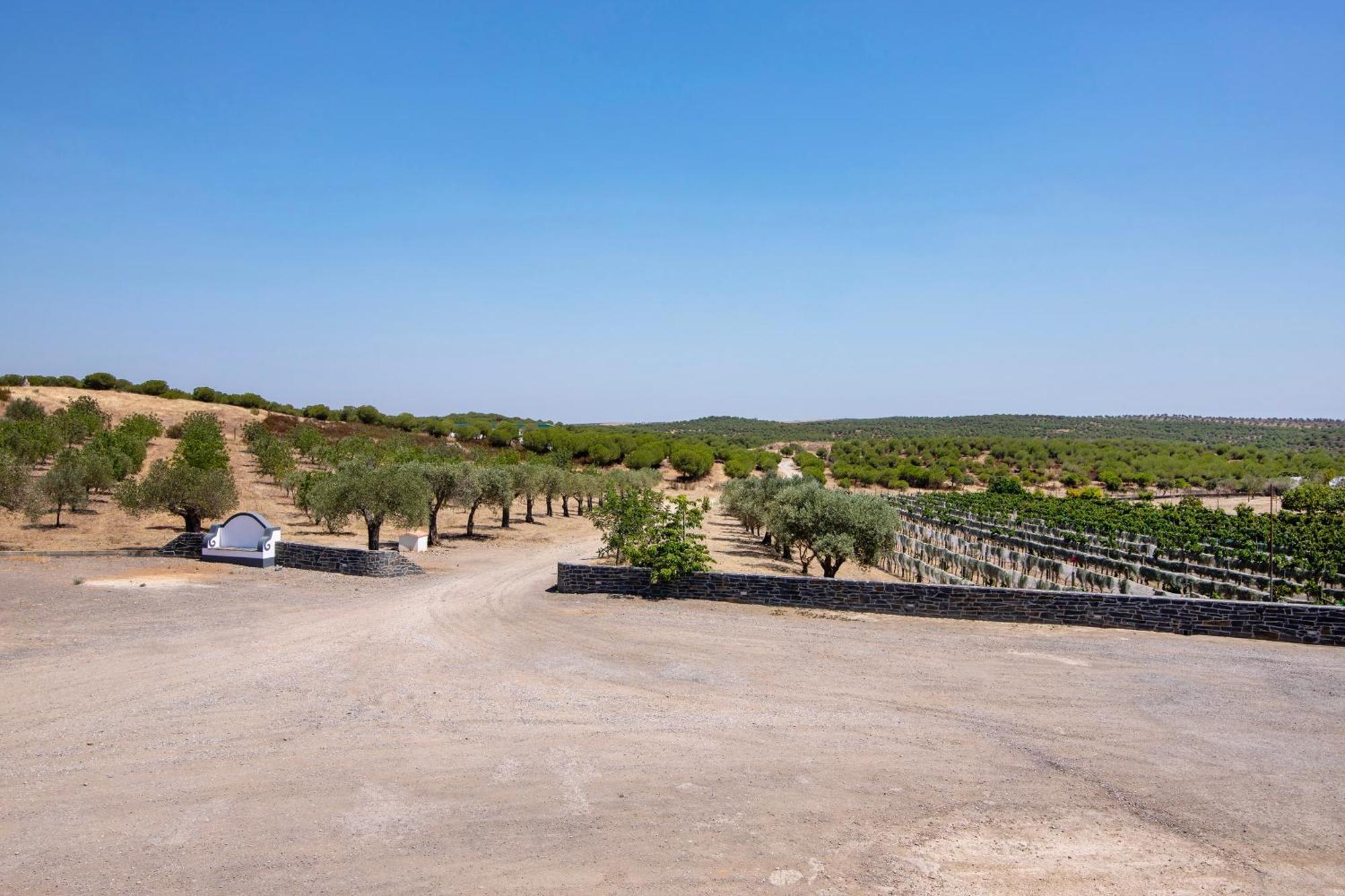 Casas Do Monte Villa Gioes